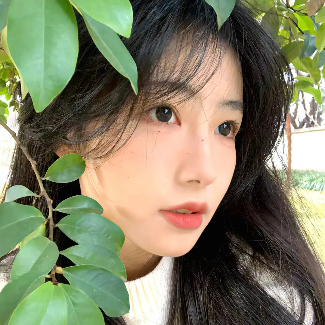 索命影带